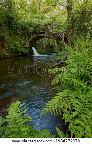 Old bridge