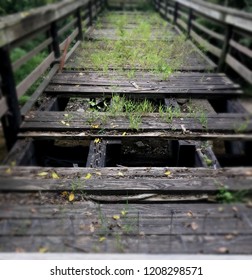 An Old Bridge At UNC Asheville