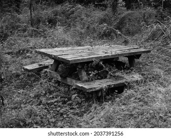 346 Broken picnic table Images, Stock Photos & Vectors | Shutterstock