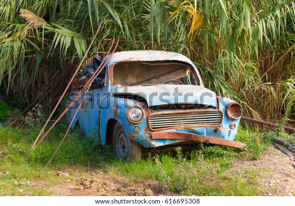 Old broken car
under the palm tree. Toned.