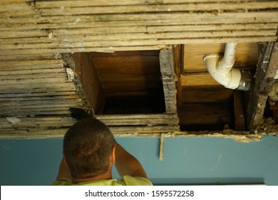 Looking At Ceiling Stock Photos Images Photography Shutterstock