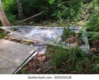 An Old Broken Door Tossed In The Vegetation. The Door Frame Is Detached From The Glass Inserts And Is Damaged Beyond Repair.