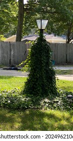 Old Broken Lamp Post Covered In Vines.