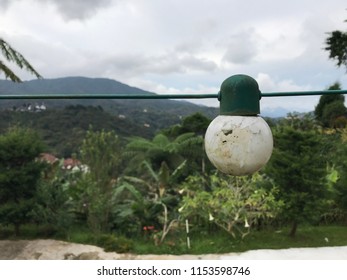 Old Broken Light Bulb Covered In Moss Hanging On Wires