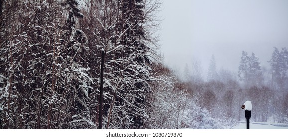 Old Broken Streetlight On Winter Storm Background In A Forest