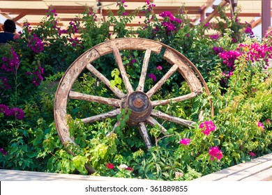 Old Broken Wagon Wheel In Flower Bed