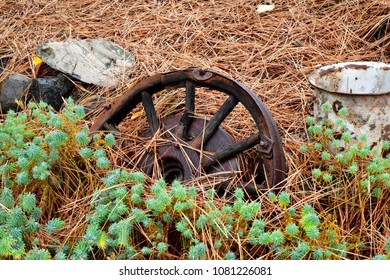 Old Broken Wagon Wheel On The Ground