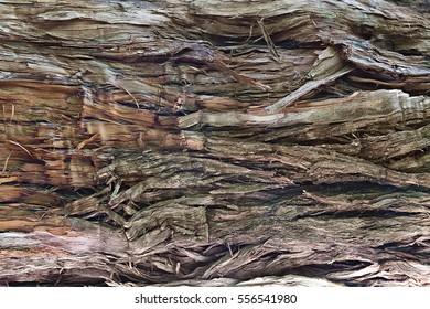 Old Broken Wood Fiber Close-up