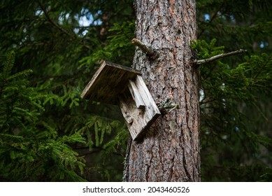 hiding trail camera in birdhouse