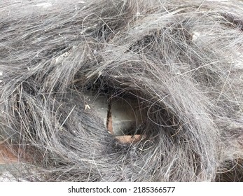 Old Broom Hair, Dull Black