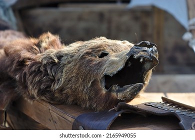 an old brown bear pelt