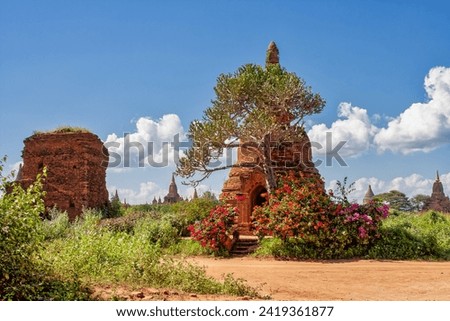 old brown brick pagodas with colorful bushes and a sunny blue sky