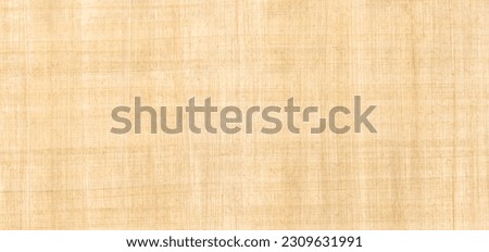 Old brown papyrus background texture. Banner wallpaper