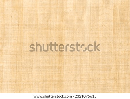 Old brown papyrus background texture. Vintage wallpaper