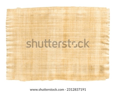 Old brown papyrus texture isolated on white background
