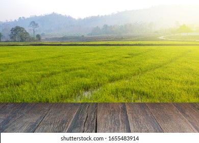 Old Brown Wooden Floor Beside Green Rice Field In The Evening And Beam Sunrise.