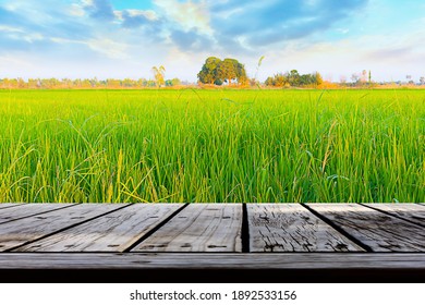 Old Brown Wooden Floor Beside Green Rice Field Background