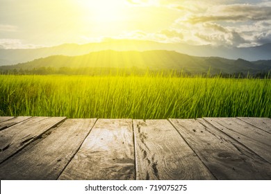 old brown wooden floor beside green rice field in the evening and beam sunset