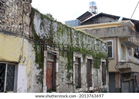 Old Building Exterior with Moss