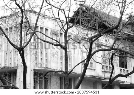 An old building with a leafless tree in front of it