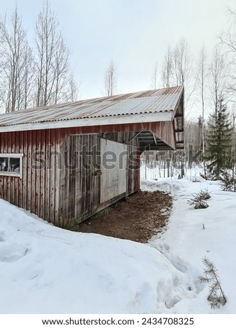 An old building on a farm. Paint deteriorated. Photographed in spring and there is still snow on the ground. (barn, hovel)