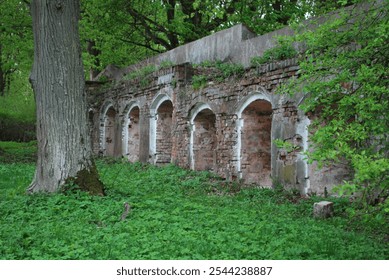 old building, ruined structure, german architecture, abandoned building, historic ruins, crumbling walls, broken windows, gothic architecture, abandoned building, ruined house, historic site, weathere - Powered by Shutterstock