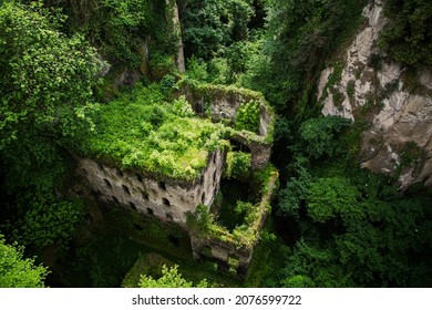 Old building ruins with vegetation growing