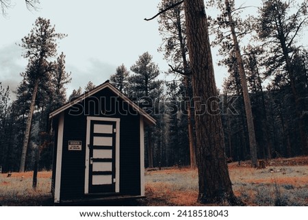 old building shed cabin abandoned in forest orange green brown colors mountain adventures