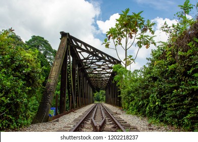 Old Bukit Timah Railway Track