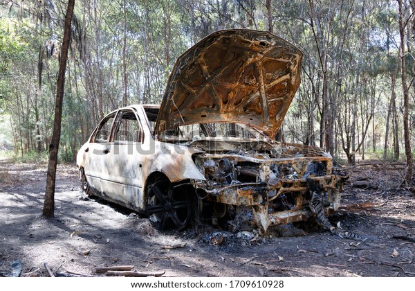 Old burnt out car in bush\
land