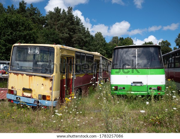 Old bus cemetery with\
parked buses
