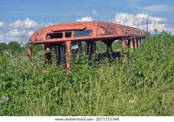 old bus\
collapsed among tall grass in\
summer