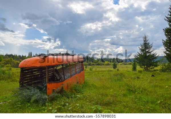 The old bus in a field. Summer 2016, Irkutsk\
oblast, Russia.
