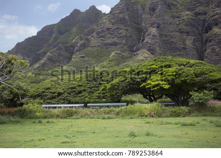 Old Buses parked in Front of Mountains and Lush Forest in Hawaii