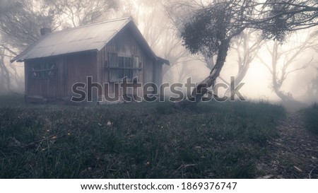 An old bushmans hut in foggy, alpine woodland, Australia