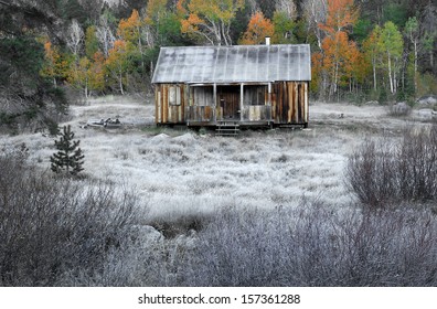 Old Cabin