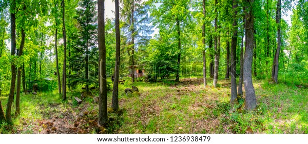 Old Cabin Hidden Woods Spring Stock Photo Edit Now 1236938479