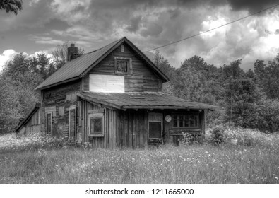 An Old Cabin On An Overgrown Lot