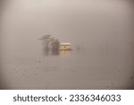 Old Cajun houseboat in the Atchafalaya Swamp Basin.