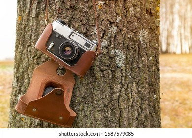Old camera hanging on a tree. Concept for spending time outside