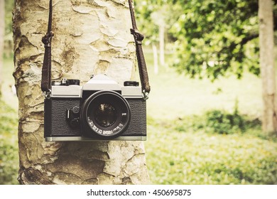 Old camera hanging on a tree. sepia style image.