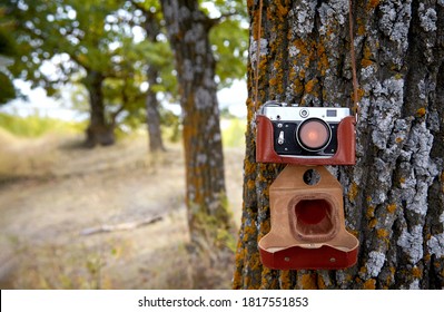 The old camera hangs on a tree.