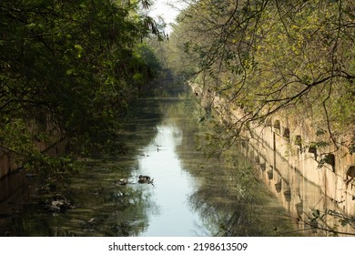 Old Canal (Pirajuçara) Surrounded By Trees And Water Reflection Inside University Of São Paulo Campus (Cidade Universitária) In São Paulo, Brazil