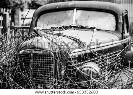 Similar – Image, Stock Photo Somewhere in the Pampa of Argentina