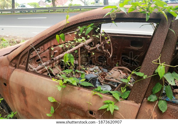 An Old Car Covered\
in Vines and Pinestraw