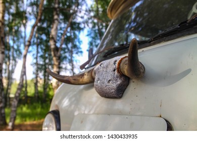 Old Car With Cow Horns On The Cab