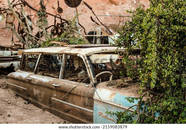 An old car frame with plants growing
around it in the desert of Coober Pedy,
Australia