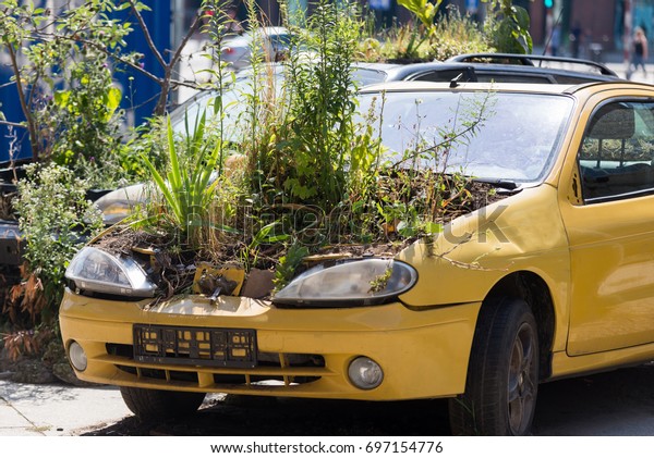 Old car with plants in the\
engine