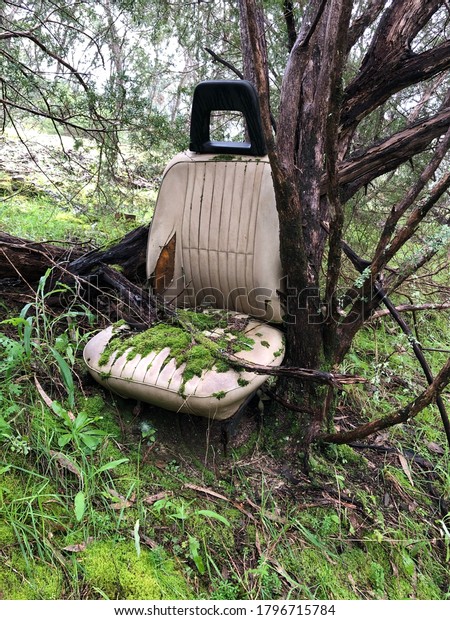 Old\
car seat covered in moss in the bush. Refuse in the forest left to\
rot. A man made item swallowed up by Mother\
Nature.