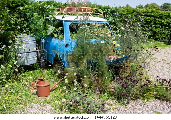 An old car with a selection of flowers and\
vegetation growing in it and around\
it